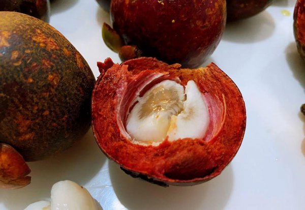 山竹2a3a4a5a区别