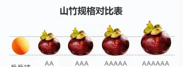 山竹2a3a4a5a区别