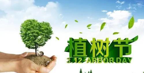 榆树风水禁忌及讲究说法