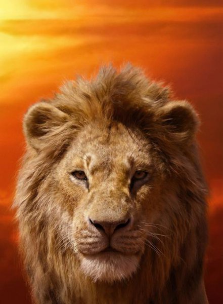 世界电影票房纪录排行榜