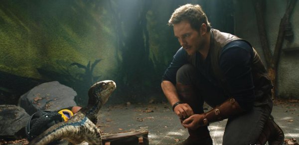 世界电影票房纪录排行榜