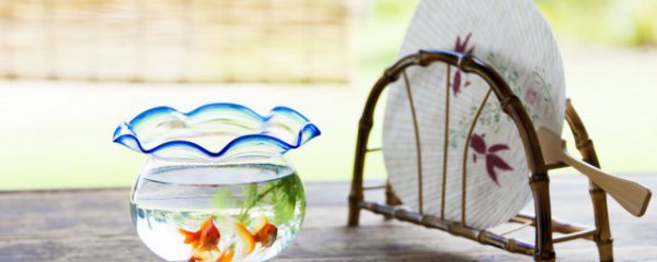 家庭鱼缸怎么清理换水