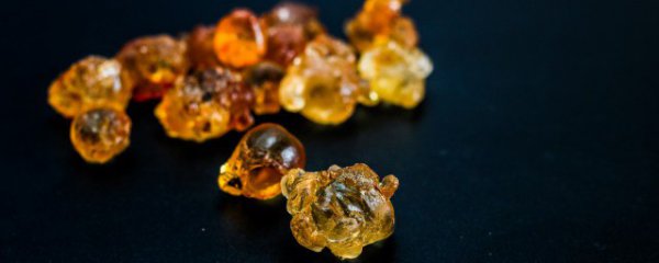 新鲜桃胶可以直接吃吗