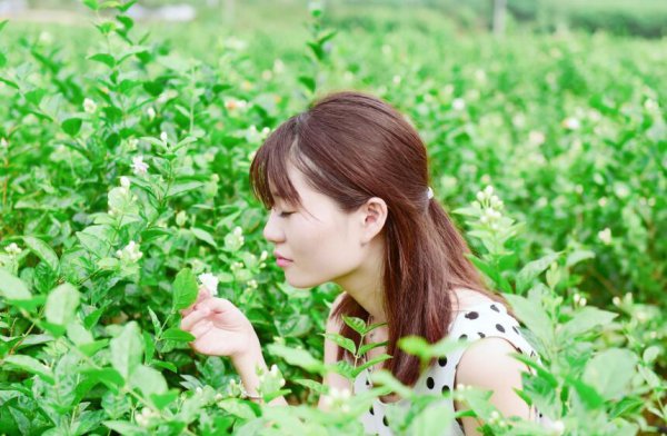 横县属于广西哪个市