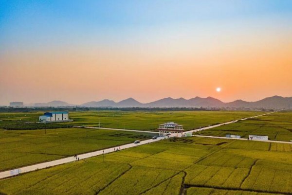 横县属于广西哪个市