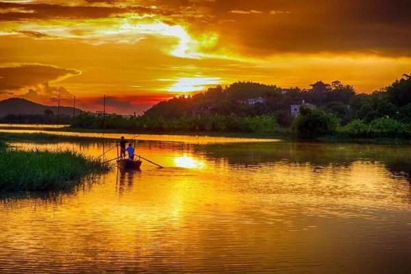 横县属于广西哪个市