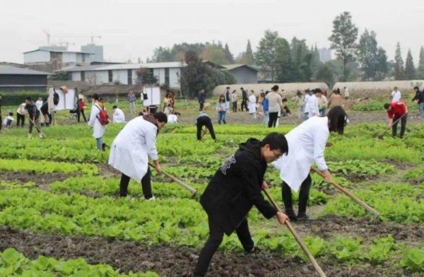 农学考研一般招不满的学校