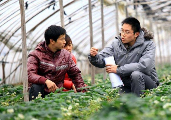 农学考研一般招不满的学校