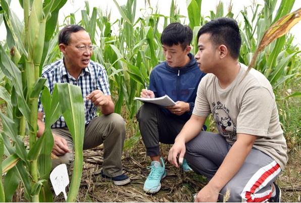 农学考研一般招不满的学校