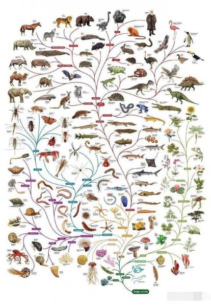 世界上最小的光合自养生物是什么