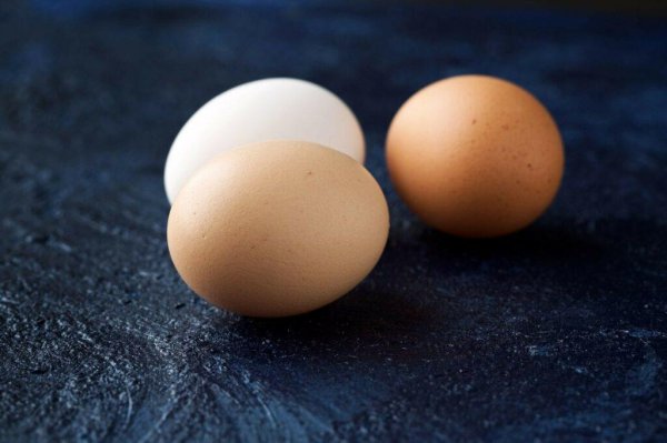 补头发最有效15种食物