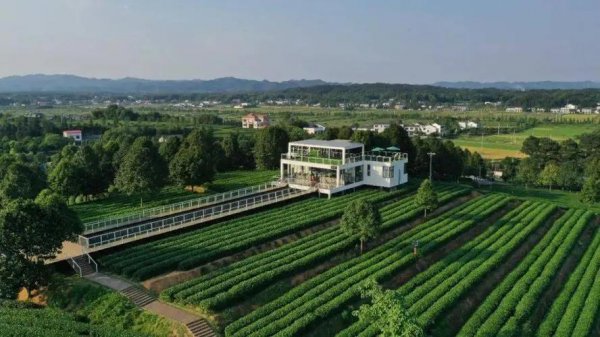 长沙一日游可以去哪些地方