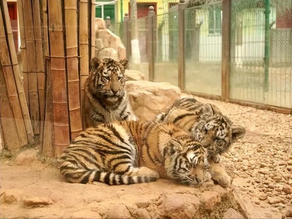 长沙一日游可以去哪些地方