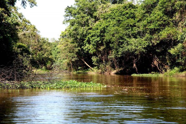世界上流量最大的河流