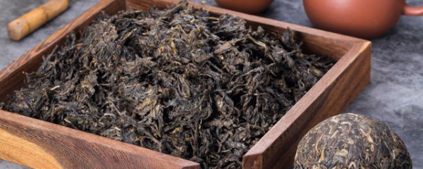 普洱和什么茶搭配好