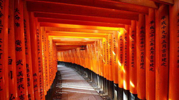 人类学到底学什么