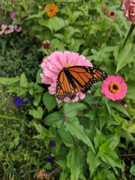 坦然面对生活经典语录推荐