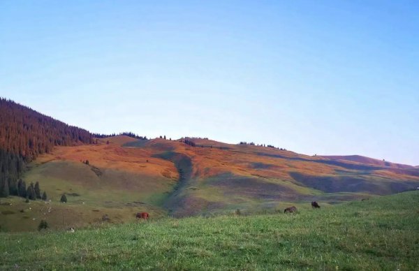 哈萨克斯坦人口面积简介