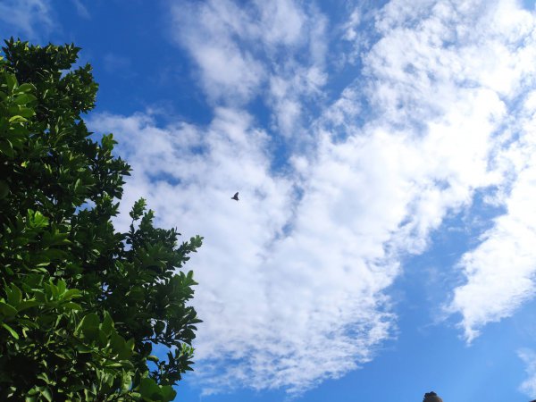 人生不言弃纵有疾风起什么意思