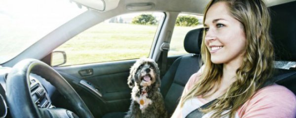 汽车驾驶员注意事项大全