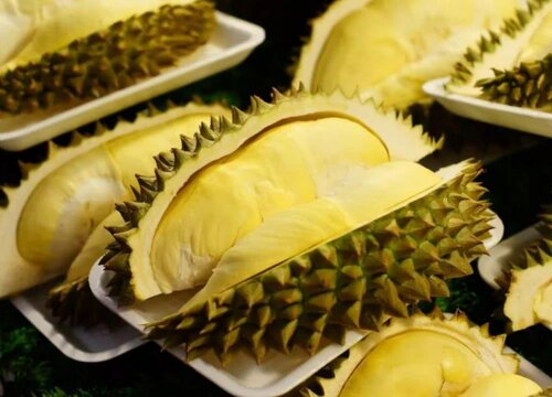 榴莲为什么那么贵