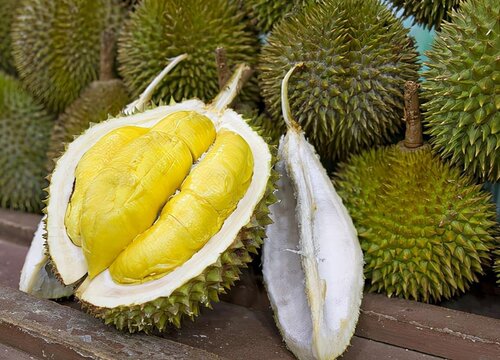 榴莲为什么那么贵