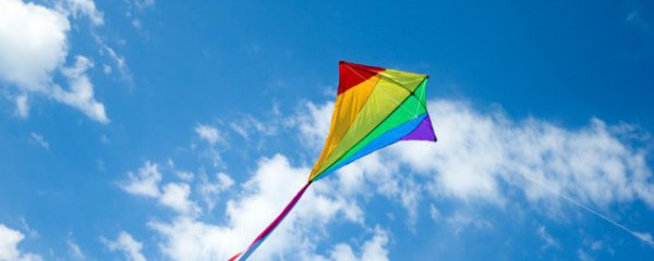 风筝用什么做的