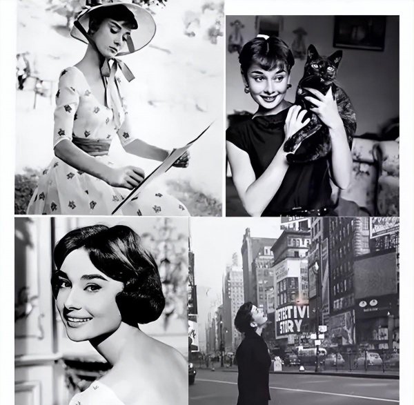 赫本风属于什么风格