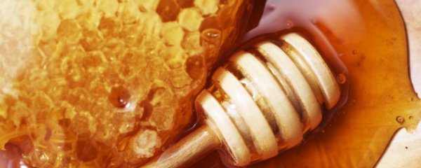 怎么鉴别真蜂蜜