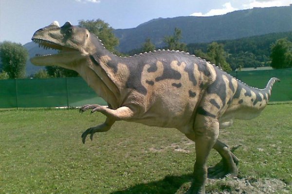 传说中的独角兽是什么动物