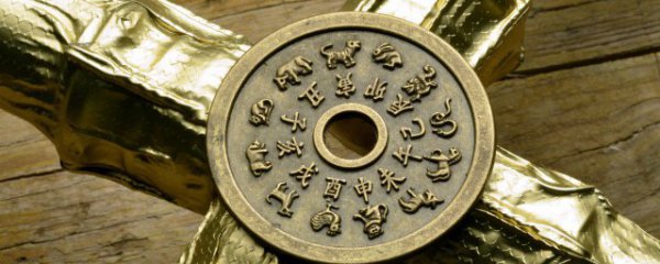 属猪的佩戴什么生肖好