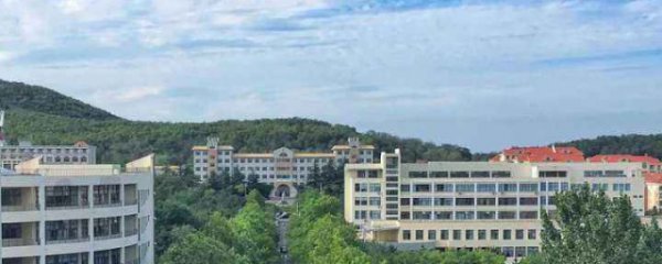 山东大学在哪个城市