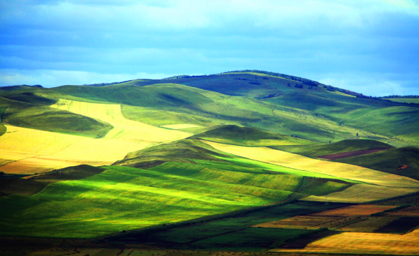 中国十大草原排名