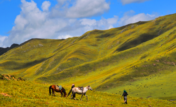 中国十大草原排名