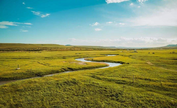 中国十大草原排名