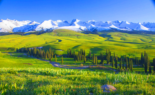 中国十大草原排名