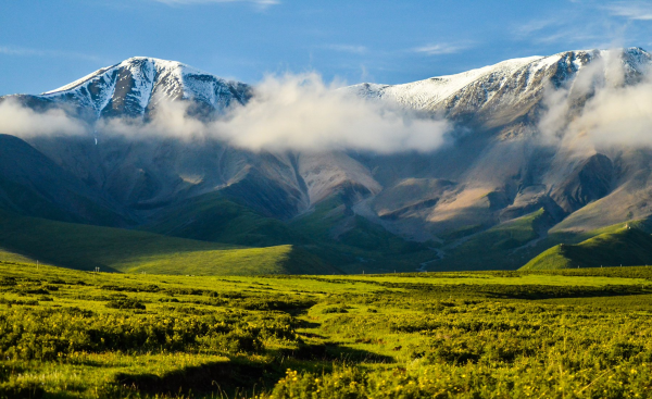 中国十大草原排名
