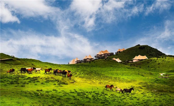 中国十大草原排名