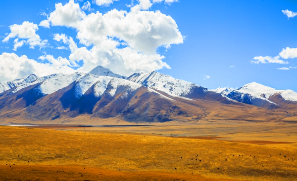 中国十大草原排名