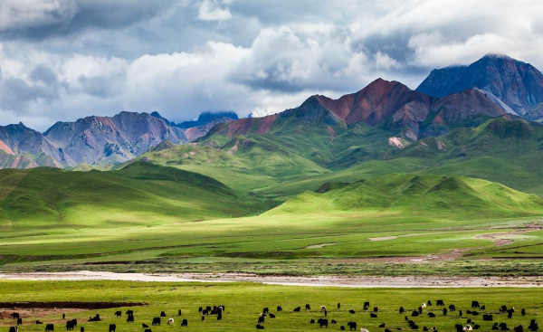 中国十大草原排名