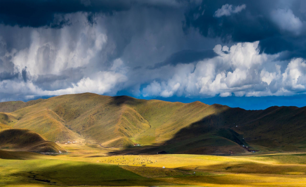 中国十大草原排名