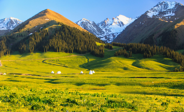 中国十大草原排名