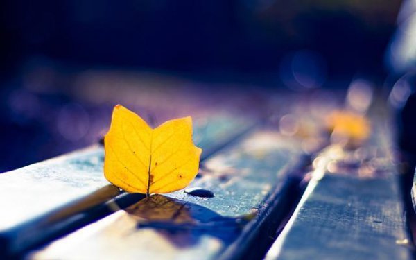 不会做人的人十种表现