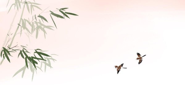 竹子的品质与特点