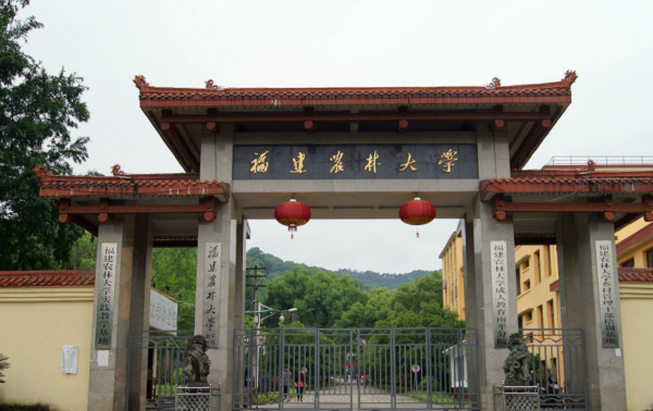 福建师范大学是211或者985吗