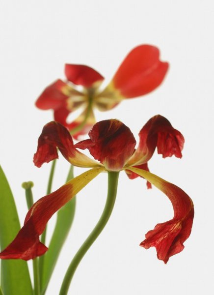 为什么很反感媳妇回娘家