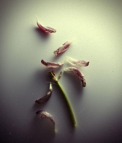 为什么很反感媳妇回娘家