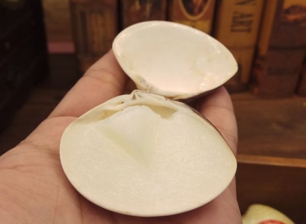 护手霜哪个牌子好用