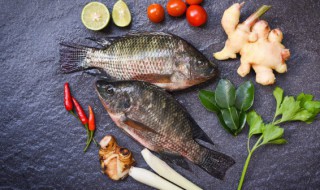 鲤鱼怎么做好吃还不腥 鲤鱼如何做好吃还不腥