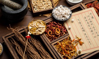 鹿鞭功效与作用 鹿鞭的作用和功效与作用